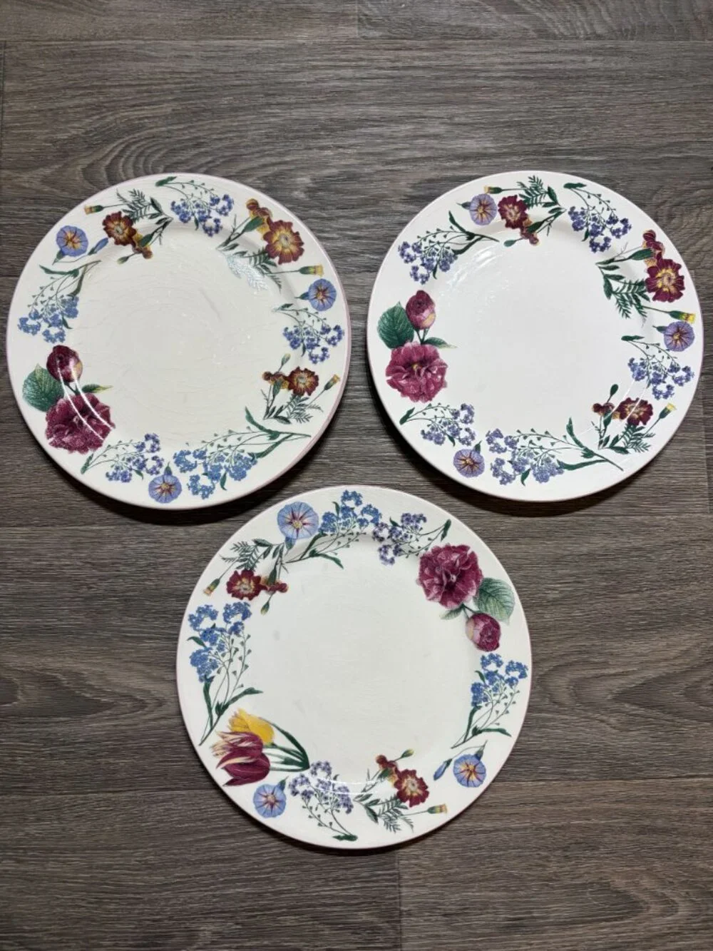 Williams Sonoma RB Bernarda Portugal Botanical Dinner Plates Set of 3 10.5